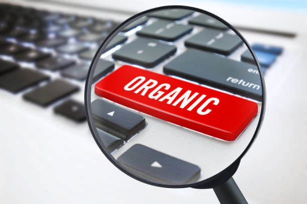 What is Organic Search (Paid vs Organic Search Results) What is Organic Search (Paid vs Organic Search Results)