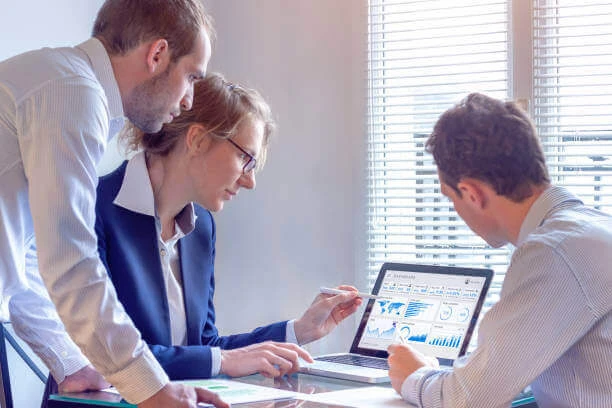 SEO Services Primelis (Best SEO Company Primelis) SEO Services Primelis (Best SEO Company Primelis)